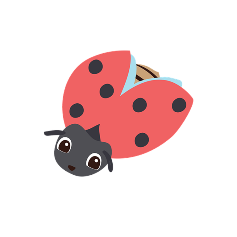 Käfergruppe