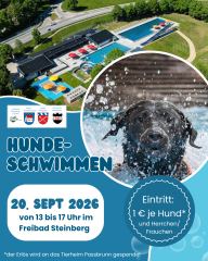 Hundeschwimmen Flyer
