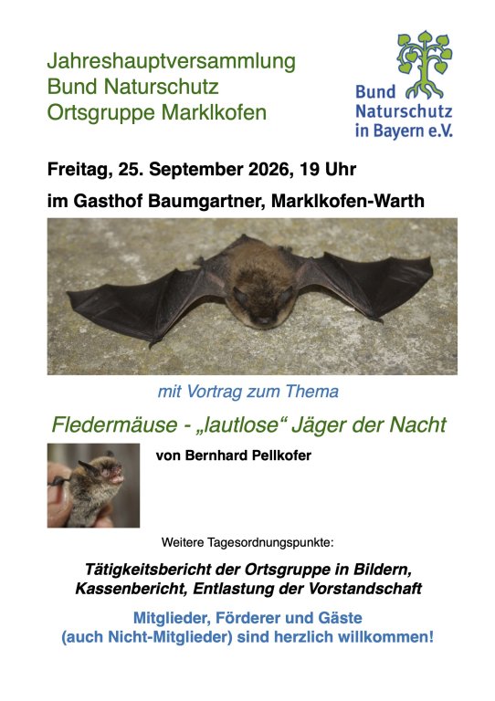 Flyer JHV BN Fledermäuse
