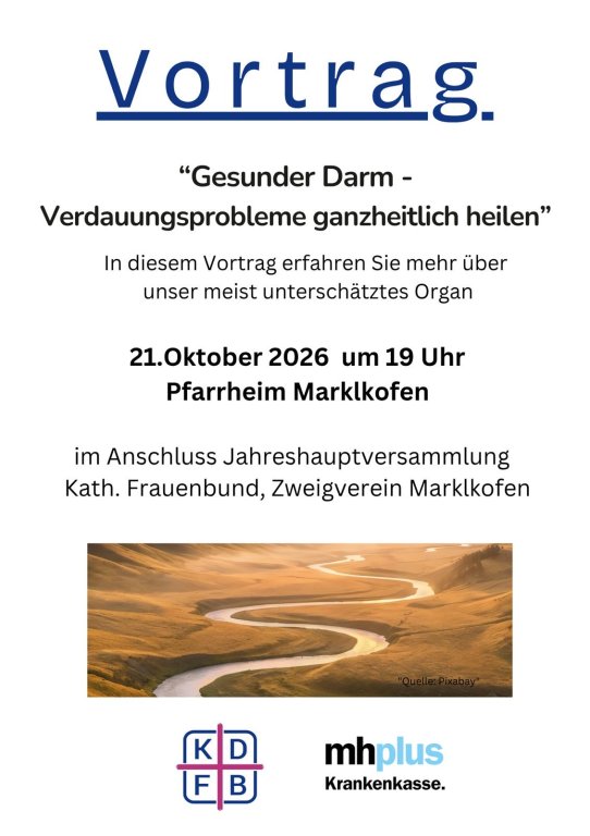 plakat darmgesundheit vortrag